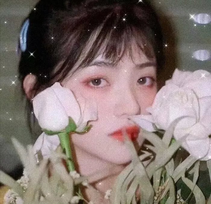 恭喜你发财